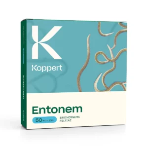 Koppert Entonem – Nematoder mod sørgemyg
